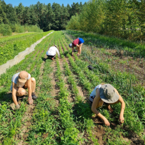 Spörgelhofmitglieder auf dem Feld